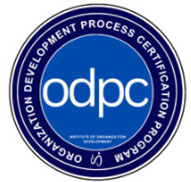 Organization Development Process Consultant